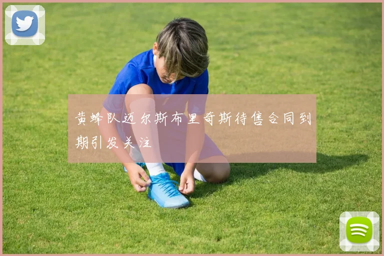 黄蜂队迈尔斯布里奇斯待售合同到期引发关注